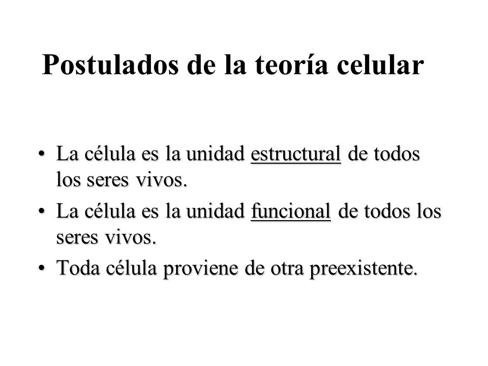 Teoria Celular Y Sus Postulados Pdf Download